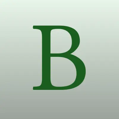 BERRYSHOP, магазин букетов из клубники, лого-визитка