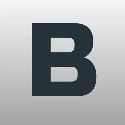 BRONOSKINS, сервисный установочный центр, лого-визитка