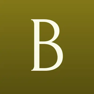 Bork, магазин бытовой техники, лого-визитка