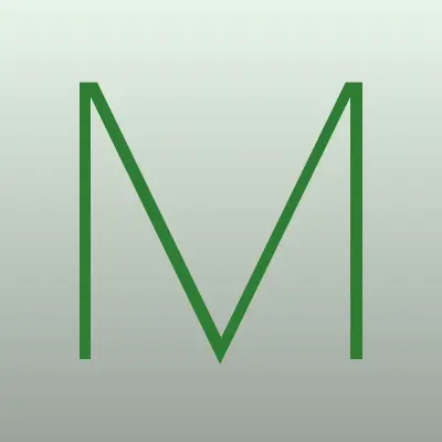 Мегасервис, лого-визитка