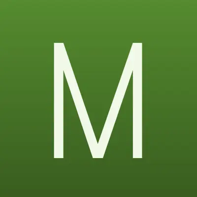 Mr.Sharik, магазин товаров для праздника, лого-визитка