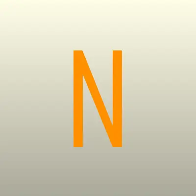 Новостройпроект, проектная компания, лого-визитка
