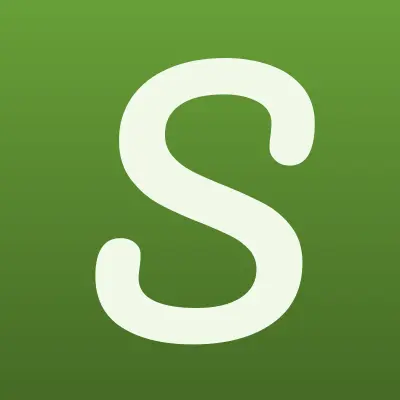 СеверЭнергоСетьПроект, проектная компания, лого-визитка